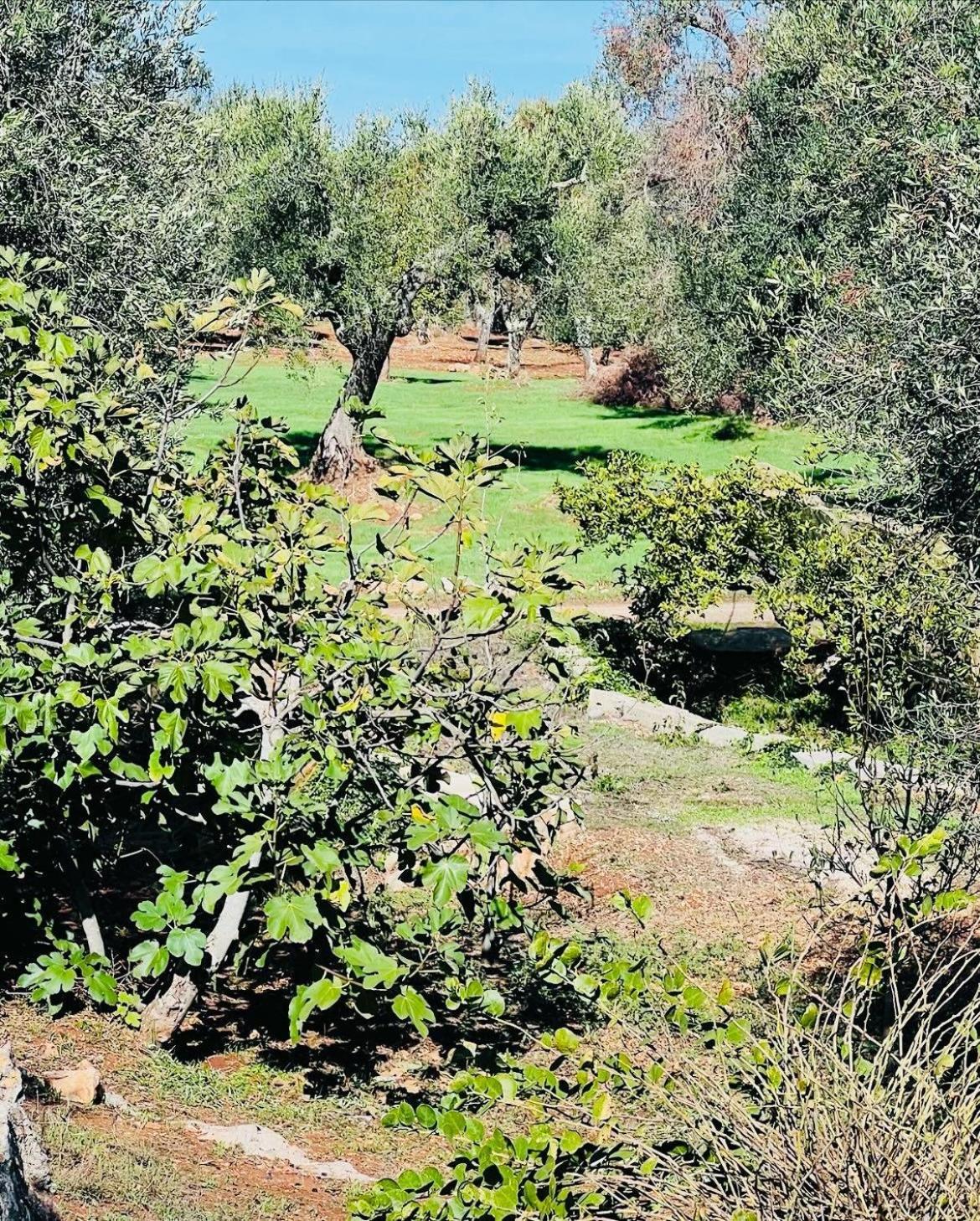 Villa Trullo Antelmi Ceglie Messapica Exterior foto